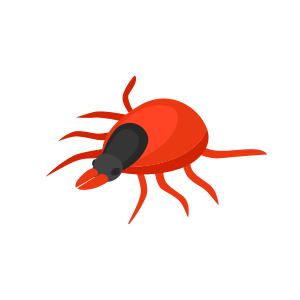 pest tick
