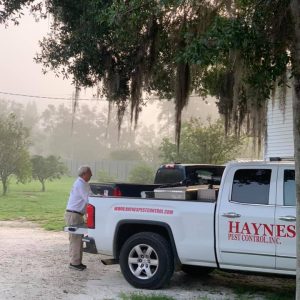 haynes gallery 1